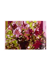 Набор ТМ Рыжий Кот Раскраска на картоне A4 Сиреневый букет (Арт. Р-2441)