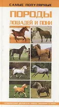 Самые популярные породы.лошадей