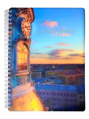 Тетрадь А5+ 100л клетка спираль пластик. обл с кнопкой и тиснением Safebook 15с22