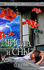 Числа и сны. Нумерологический сонник