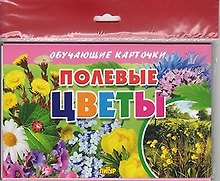 Обучающие карточки "Полевые цветы" (европодвес)