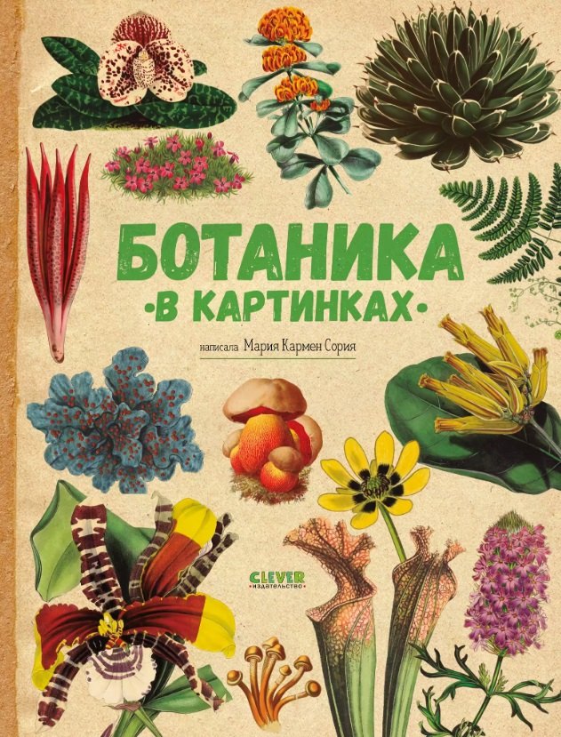 

Ботаника в картинках