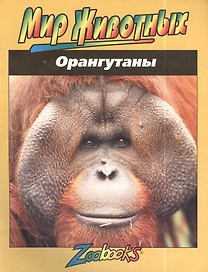Орангутаны (мМЖ) Шоу
