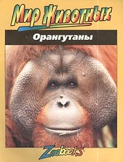 Орангутаны (мМЖ) Шоу