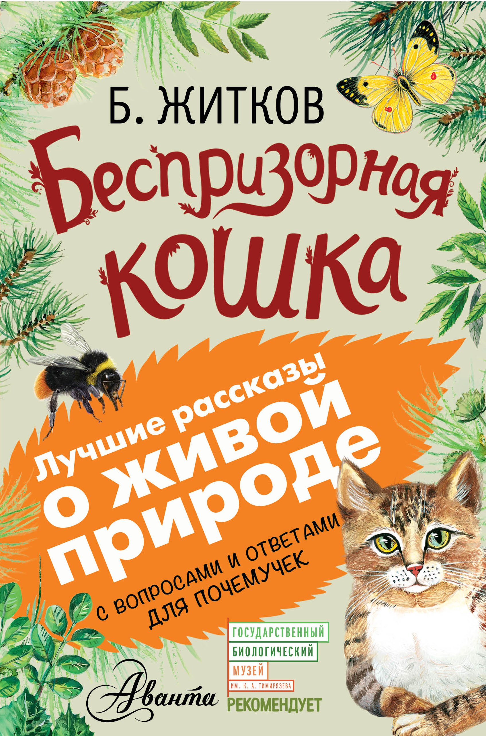 

Беспризорная кошка