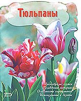Тюльпаны