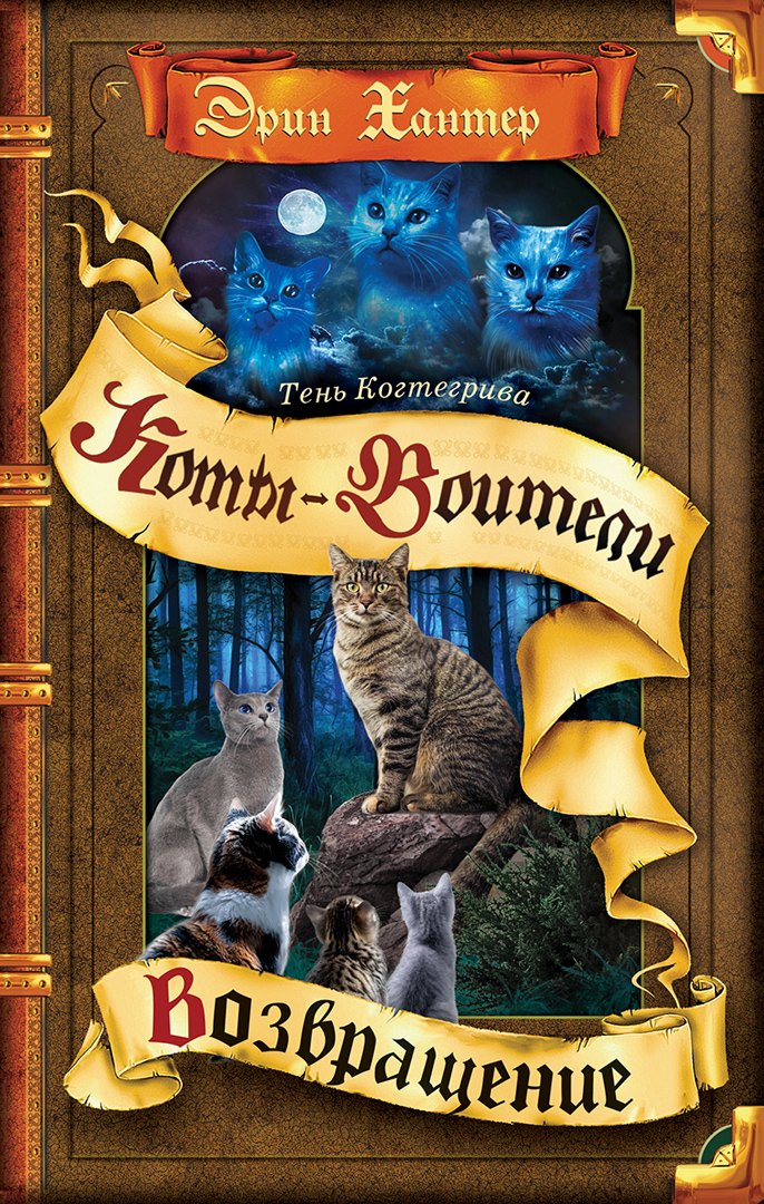 

Тень Когтегрива. Книга 2. Возвращение
