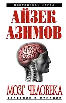 Мозг человека : строение и функции