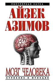 Мозг человека : строение и функции