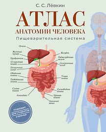 Атлас анатомии человека. Пищеварительная система