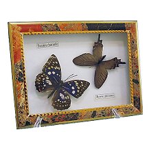 Панно Бабочки, 15х20см (101046)