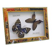 Панно Бабочки, 15х20см (101046)