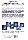 Популярный анатомический атлас по Никите Жукову. Кости и мышцы. Инсайты и интересные факты - 1