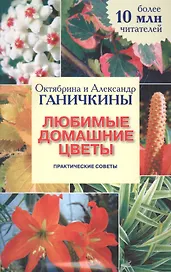 Любимые домашние цветы