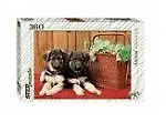 Пазл Щенки овчарки, 360 элементов