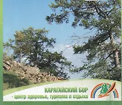 Карта "Верхнеуральский район"