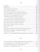 Сквозь дымку лет. Стихотворения - 2