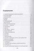 Я, Микеланджело Буонарроти… - 1