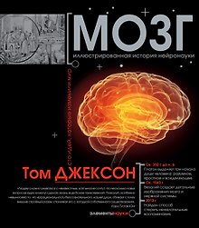 Мозг