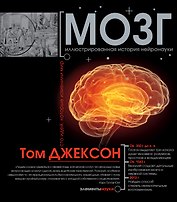 Мозг