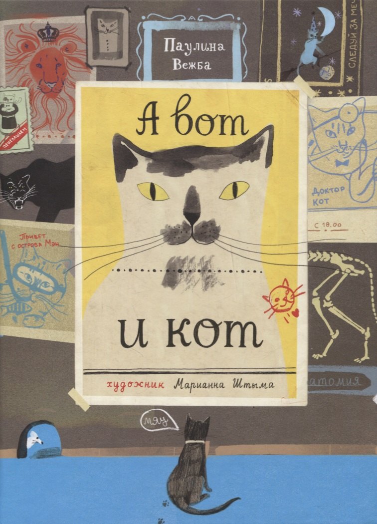 

А вот и кот