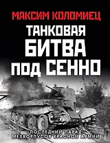 Танковая битва под Сенно. «Последний парад» мехкорпусов Красной Армии