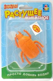 Растущее животное Жуки (Т53564) (6 вид.) (блистер)