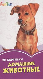 Домашние животные. 22 картинки
