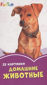 Домашние животные. 22 картинки