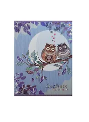 Дневник для ср.и ст.кл. "СКАЗОЧНЫЕ СОВЫ" интегр.обл., выб.лак, фольга, конгрев Альт