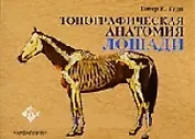 Аквар.Топографич.анатомия лоша