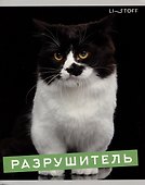 Тетрадь общая «Характер котика», 96 листов в клетку, А5 - Listoff - 2