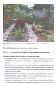 Многолетники в вашем саду. Полный справочник по уходу и разведению - 2