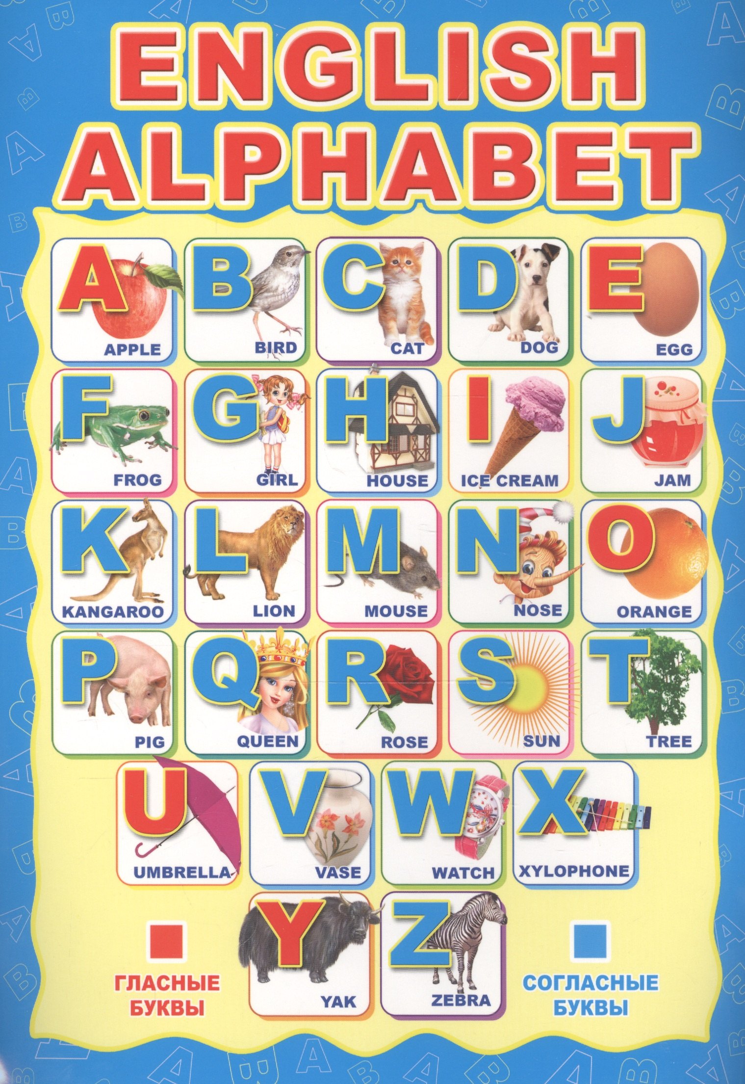 

Мини-плакат А4 "ENGLISH ALPHABET"