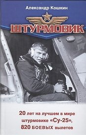 Штурмовик
