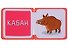Мини-книжки ЭВА. Кто здесь живёт? В лесу - 1