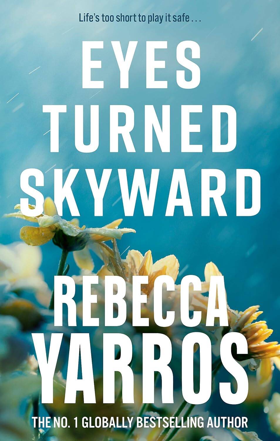 Обложка книги «Eyes Turned Skyward»
