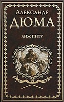 Анж Питу: роман