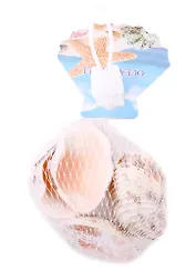 Декоративные ракушки плоские, 5 штук