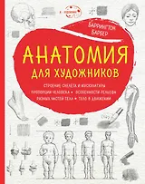 Анатомия для художников