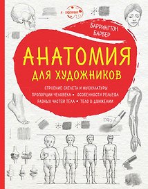 Анатомия для художников