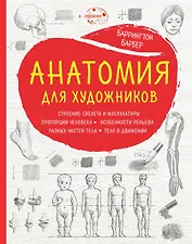 Анатомия для художников