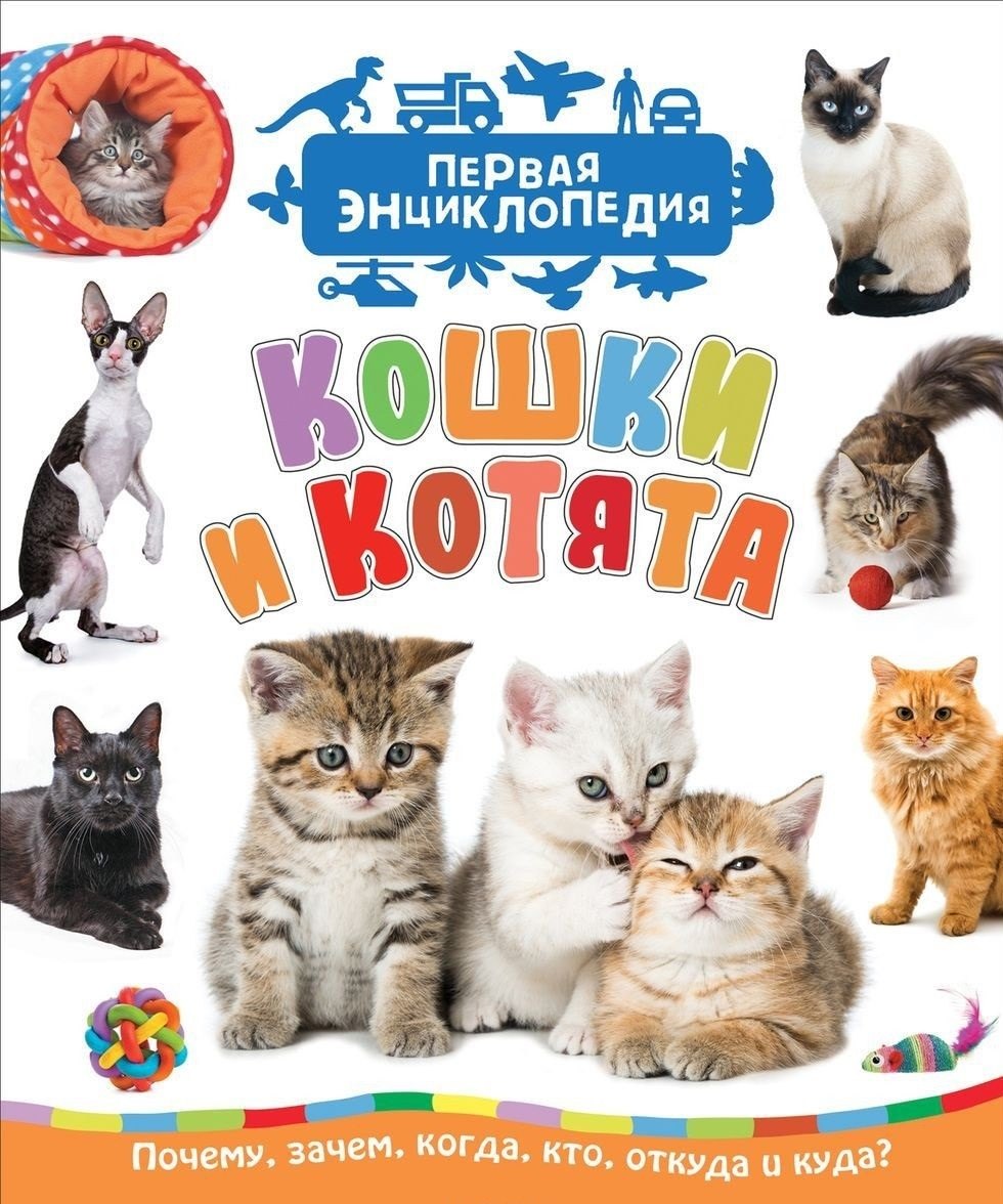   Буквоед Кошки и котята (Первая энциклопедия)