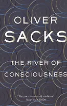 The River of Consciousness