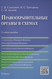 Правоохранительные органы в схемах: учебное пособие