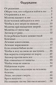 Лесные шепотки - 1