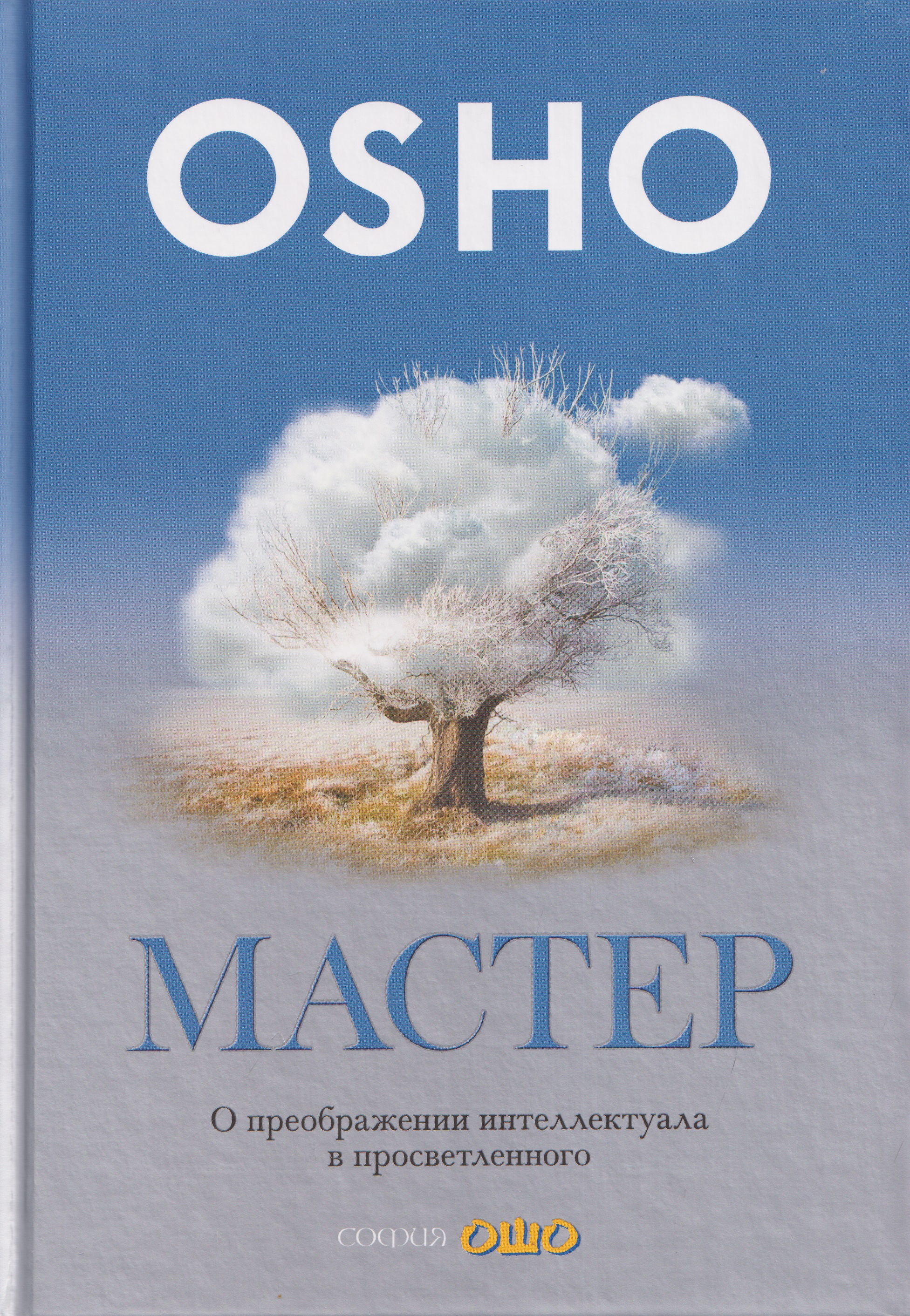 Обложка книги «Мастер: О преображении интеллектуала в просветленного»