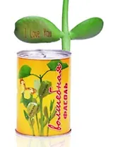 Сувенир Прорастай-ка Волшебная Фасоль (b-1)