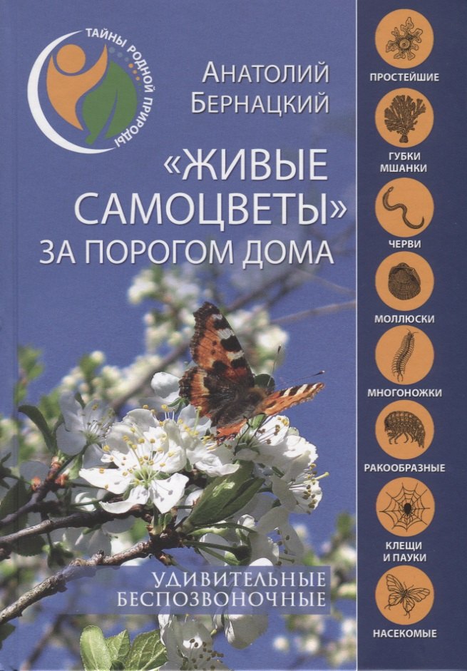 

"Живые самоцветы" за порогом дома