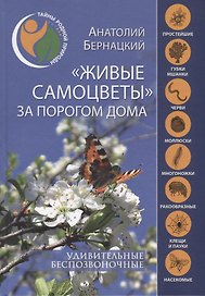 "Живые самоцветы" за порогом дома